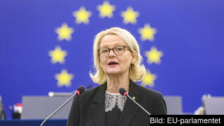 Heléne Fritzon (S) anser att EU-kommissionen ska arbeta för jämställdhet mellan könen, sänka energipriser och en klimatomställning. Heléne Fritzon (S) anser att EU-kommissionen ska arbeta för jämställdhet mellan könen, sänka energipriser och en klimatomställning.