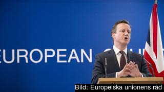 Den brittiske konservativa premiärministern David Cameron anser att EU har för stor makt något som dock inte bekräftas av påkostad statlig utredning i frågan.