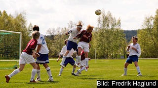 Ideella sportföreningar - en hotad verksamhet i Sverige?
