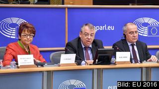 Klaus-Heiner Lehne, ordförande i Europeiska revisionsrätten, under torsdagens presentation i EU-parlamentet som har att ta ställning till huruvida kommissionen får ansvarsfrihet för budgeten.