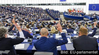 Svenska EU-parlamentariker slår ett slag för att göra något radikalt åt det låste läget i asylpolitiken. Svenska EU-parlamentariker slår ett slag för att göra något radikalt åt det låste läget i asylpolitiken.