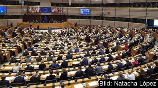 Vid torsdagens omröstning höll en del parlamentariker upp lappar i protest mot att omröstningen var hemlig. Vid torsdagens omröstning höll en del parlamentariker upp lappar i protest mot att omröstningen var hemlig.