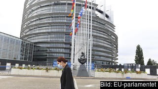 EU-parlamentets sessionsbyggnad i Strasbourg har inte använts av ledamöterna sedan februari 2020. Arkivbild. EU-parlamentets sessionsbyggnad i Strasbourg har inte använts av ledamöterna sedan februari 2020. Arkivbild.