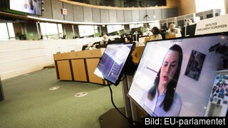 Den belarusiska oppositionsledaren Svetlana Tichanovskaja deltar i tisdagens debatt i EU-parlamentets utrikesutskott. Arkivbild. Den belarusiska oppositionsledaren Svetlana Tichanovskaja deltar i tisdagens debatt i EU-parlamentets utrikesutskott. Arkivbild.