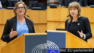 Energisäkerhet och guldpass är frågor som EU-parlamentarikerna Karin Karlsbro (L) och Malin Björk (V) ska säga sitt om nästa vecka i Strasbourg. 