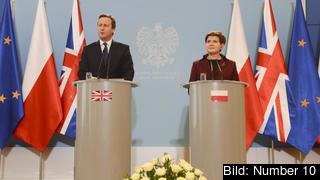 Storbritanniens premiärminister David Cameron och Polens premiärminister Beata Szydło efter torsdagens möte. Storbritanniens premiärminister David Cameron och Polens premiärminister Beata Szydło efter torsdagens möte.