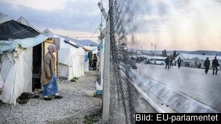 Turkiet huserar runt 2,7 miljoner flyktingar. Arkivbild. Turkiet huserar runt 2,7 miljoner flyktingar. Arkivbild.