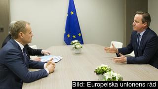 Europeiska rådets ordförande Donald Tusk i samtal med Storbritanniens premiärminister David Cameron.