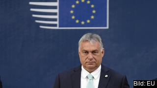 Ungern riskerar att bli än mer isolerad i EU om den sittande premiärministern Viktor Orbáns parti Fidesz vinner i söndagens parlamentsval, tror Perle Petit på tankesmedjan European Policy Centre.  
