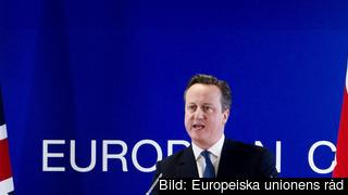 Den brittiske premiärministern David Cameron efter förra veckans toppmöte. 