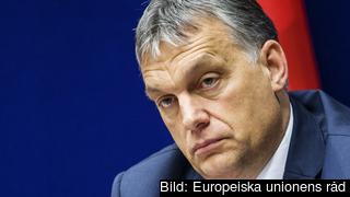 Ungerns premiärminister Viktor Orbán. Arkivbild.