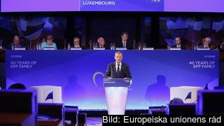 Donald Tusk talar vid Europeiska folkpartiets 40-årsfirande i Luxemburg. 