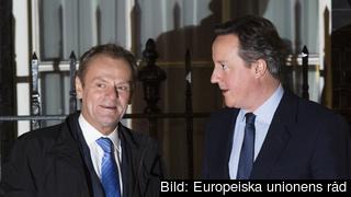 Europeiska rådets ordförande Donald Tusk inför söndagens möte med Storbritanniens premiärminister David Cameron.