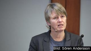 Statssekreterare Irene Wennemo ansvarar för frågor som rör arbetsrätt och arbetsmiljö, arbetslöshetsförsäkringen och internationella frågor. Arkivbild.