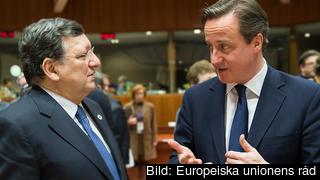 EU-kommissionens ordförande José Manuel Barroso och Storbritanniens premiärminister David Cameron diskuterar. Arkivbild. EU-kommissionens ordförande José Manuel Barroso och Storbritanniens premiärminister David Cameron diskuterar. Arkivbild.