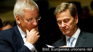 Sveriges och Tysklands utrikesministrar Carl Bildt och Guido Westerwelle diskuterar. Arkivbild. Sveriges och Tysklands utrikesministrar Carl Bildt och Guido Westerwelle diskuterar. Arkivbild.