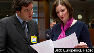 EU-minister Birgitta Ohlsson (FP) vill att EU skär i sin budget.