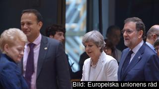 Den brittiska premiärministern Theresa Mays vid förra veckans EU-toppmöte.