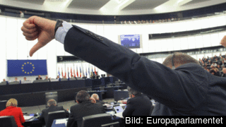 Enigheten inom EU-partierna har ökat vilket ger utslag vid flera omröstningar. Men svenska forskare menar det saknar betydelse eftersom EU-parlamentet är en stor koaltion.