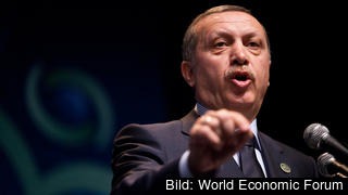 Den turkiske premiärministern Recep Tayyip Erdoğan menar att den franska lagen  är rasistisk och diskriminerande.