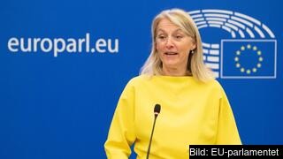 Socialdemokratiska EU-parlamentarikern Evelyn Regners från Österrike har förhandlat om direktivet om könskvotering i bolagsstyrelser för EU-parlamentets räkning. Socialdemokratiska EU-parlamentarikern Evelyn Regners från Österrike har förhandlat om direktivet om könskvotering i bolagsstyrelser för EU-parlamentets räkning.