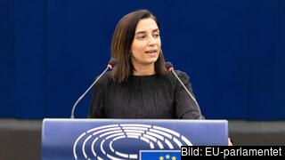 EU-parlamentariker Evin Incir (S) tycker att EU:s lagstiftning från 2001 om allmänhetens tillgång till offentliga handlingar måste uppdateras.  EU-parlamentariker Evin Incir (S) tycker att EU:s lagstiftning från 2001 om allmänhetens tillgång till offentliga handlingar måste uppdateras.