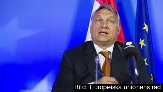 Ungerns premiärminister Viktor Orbán. Arkivbild. Ungerns premiärminister Viktor Orbán. Arkivbild.