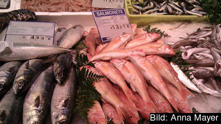 Det råder delade meningar om fiskebåtar från EU-länder ska fortsätta fiska i främmande vatten. Det råder delade meningar om fiskebåtar från EU-länder ska fortsätta fiska i främmande vatten.