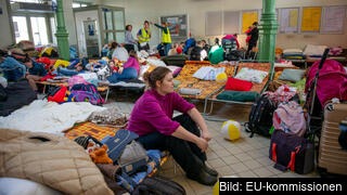 Ukrainska krisflyktingar på ett mottagningscenter vid tågstationen i Przemyśl i Polen. Över 2,5 miljoner ukrainare har anlänt till Polen sedan kriget började.