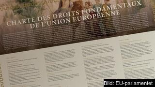 EU-stadgan om de grundläggande rättigheterna blev en del av Lissabonfördraget 2009. Arkivbild. EU-stadgan om de grundläggande rättigheterna blev en del av Lissabonfördraget 2009. Arkivbild.