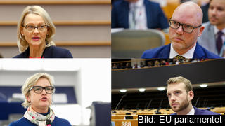 EU-parlamentariker Heléne Fritzon (S), Jörgen Warborn (M), Karin Karlsbro (L) och Jakop Dalunde (MP). Arkibild.