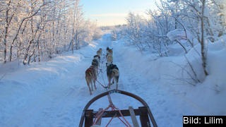 Bilden är tagen i Kiruna som ligger i Norrbotten, regionen tar emot näst mest EU-stöd per invånare i Sverige. 