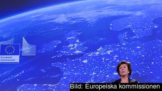 Neelie Kroes får kritik för tajmingen för det nya telekompaketet som ska göra EU till världens största marknad för sådana tjänster.