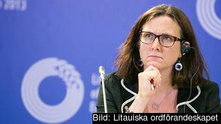 Inrikeskommissionär Cecilia Malmström ansvarar för bland annat asyl- och migrationsfrågor.