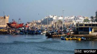 126 EU-registrerade fiskefartyg ska få dra sina nät utanför den marockanska kusten om avtalet får slutligt klartecken av EU-parlamentet 10 december. Arkivbild. 126 EU-registrerade fiskefartyg ska få dra sina nät utanför den marockanska kusten om avtalet får slutligt klartecken av EU-parlamentet 10 december. Arkivbild.