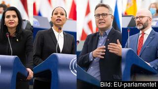 Europaparlamentarikerna Abir Al-Sahlani (C), Alice Bah Kuhnke (MP), Johan Danielsson (S) och Charlie Weimers (SD) oense om EU-parlamentets förslag för nya regler gällande arbetskraftsinvandring. Europaparlamentarikerna Abir Al-Sahlani (C), Alice Bah Kuhnke (MP), Johan Danielsson (S) och Charlie Weimers (SD) oense om EU-parlamentets förslag för nya regler gällande arbetskraftsinvandring.
