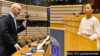 Charlier Weimers (SD) och Alice Bah Kuhnke (MP) i torsdagens debatt. 