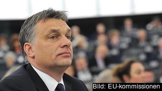 Ungerns nationalkonservative premiärminister Viktor Orbán. Arkivbild.