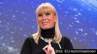 EU-kommissionär Elżbieta Bieńkowska ansvarar för inre marknaden, industri, rymd, entreprenörskap samt små och medelstora företag. Arkivbild.