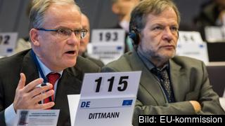 Arbetsgivarerepresentanten tysken Bernd Dittman i debatt på EESK:s decembermöte i Bryssel. 