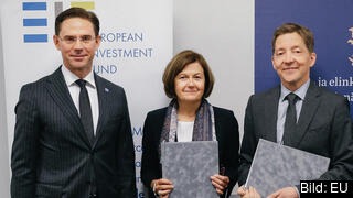 Maria Leander är generalsekreterare för Europeiska investeringsfonden – en av sex svenskar som haft ett toppjobb inom EU sedan 2004. Arkivbild. Maria Leander är generalsekreterare för Europeiska investeringsfonden – en av sex svenskar som haft ett toppjobb inom EU sedan 2004. Arkivbild.