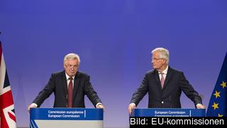 Storbritanniens brexitminister David Davis och EU:s chefsförhandlare Michel Barnier efter torsdagens förhandlingar. Storbritanniens brexitminister David Davis och EU:s chefsförhandlare Michel Barnier efter torsdagens förhandlingar.