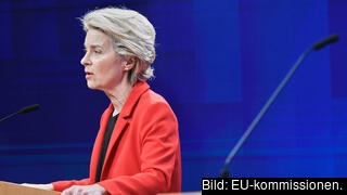 Ursula von der Leyen EU-kommissionens ordförande begärde på tisdagen att EU-domstolen ska utdöma böter för Polen för varje dag som landet dröjer med att följa EU-domstolens beslut att värna de polska domstolarnas oberoende.