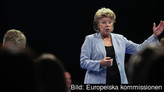 EU:s rättighetskommissionär Viviane Reding. EU:s rättighetskommissionär Viviane Reding.