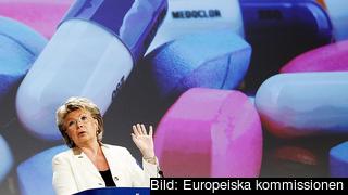 Rättighetskommissionär Viviane Reding under tisdagens presentation. Rättighetskommissionär Viviane Reding under tisdagens presentation.