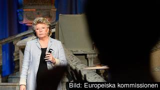 EU:s justitiekommissionär Viviane Reding vill öka utbytet av underrättelseinformationen mellan medlemsländerna. Arkivbild. EU:s justitiekommissionär Viviane Reding vill öka utbytet av underrättelseinformationen mellan medlemsländerna. Arkivbild.