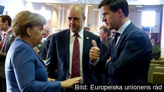 Socialdemokraterna vill att Fredrik Reinfeldt försvarar både den svenska EU-rabatten och minskar jordbruksdelen i EU-budgeten.