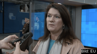 Sveriges utrikesminister Ann Linde (S). Arkivbild. Sveriges utrikesminister Ann Linde (S). Arkivbild.