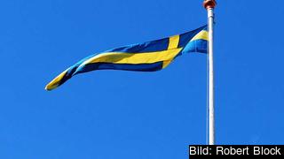 Att S vill använda EU-samarbetet för full sysselsättning saknar grund i deras förda politik, skriver Carl B Hamilton (FP). 