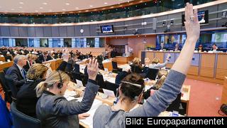 I utskotten genomförs mycket av det dagliga arbetet i EU-parlamentet. Arkivbild. I utskotten genomförs mycket av det dagliga arbetet i EU-parlamentet. Arkivbild.